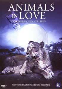 Animals in Love | Les animaux amoureux  |   DVD